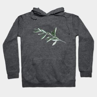 Olive branch Hoodie